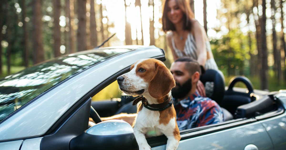 car insurance travel tips morison insurance ontario